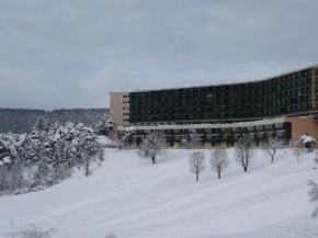 Grand Studio VILLARD DE LANS Les Glovettes